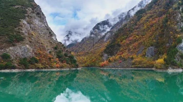 《阴阳师》里是啥式神养大了你一群的式神?聊聊?—互动社区,精彩分享