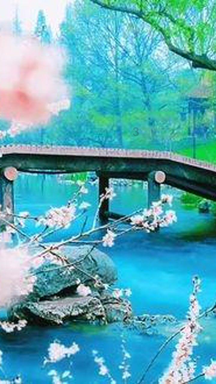 冷知识分享平台菠菜有什么营养?,揭秘别人不知道的奇闻趣事